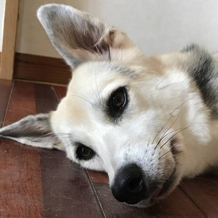 D88646d5 7fe7 4969 953d b2bf3f4990b2 1533039569463