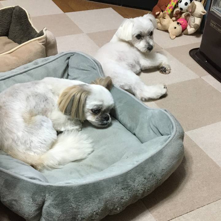 D8864af2 8c49 435d a3ef fe27f5407900 1585456028661