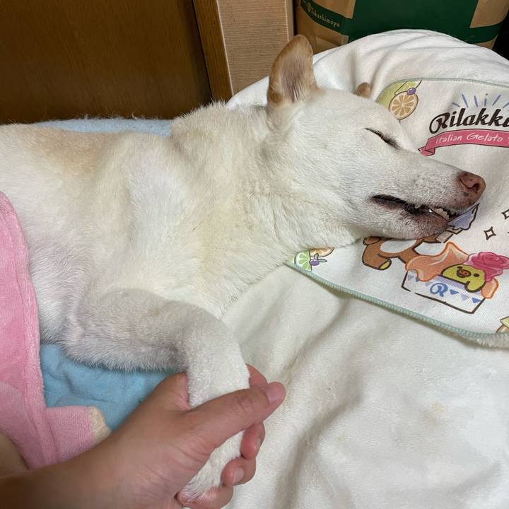 D8865e40 2488 4f0d 9ef2 40b5fb828d86 1634209244643