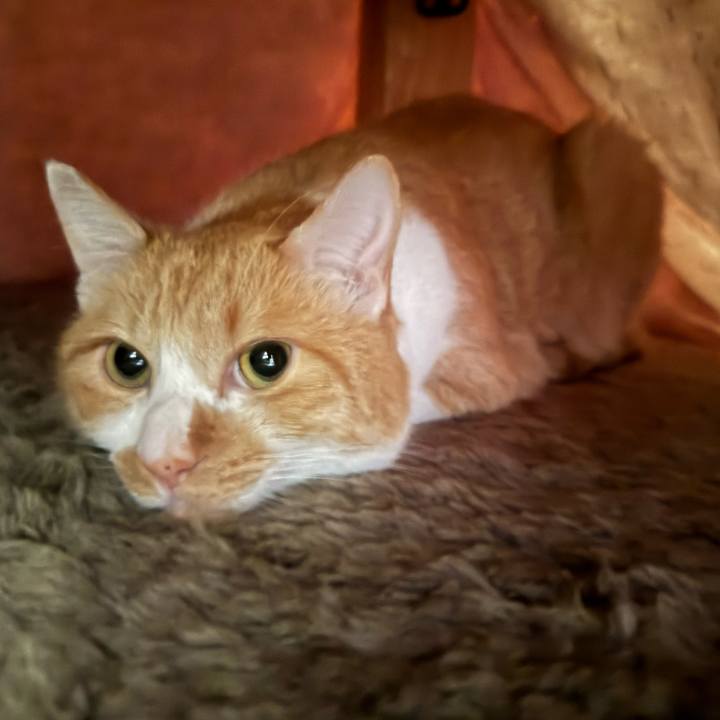 D8866e4d 380a 45f4 b9de 896a03c65a17 1765282672889