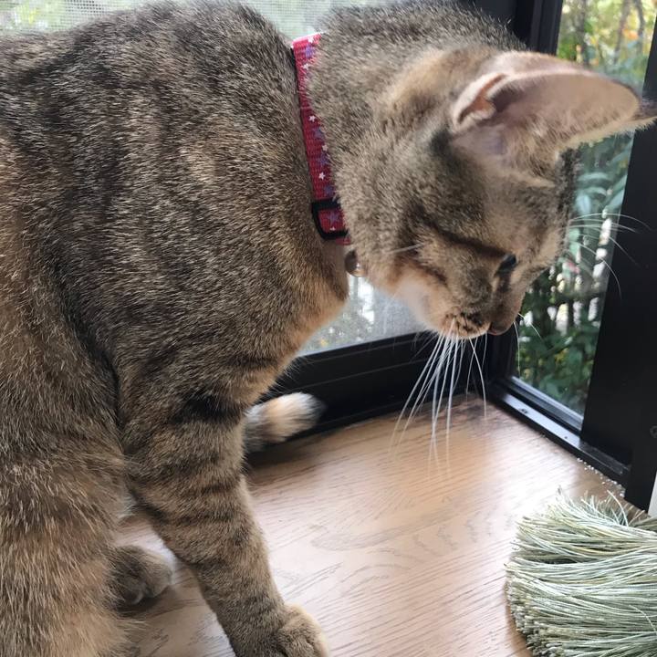 D88695b6 50d8 449c 8c77 f51c9a5459b4 1584407384155