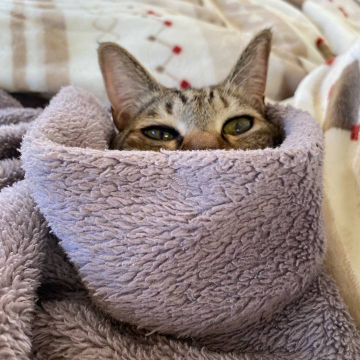 D886c42f 05b5 4c88 97ac 317522382d7e 1676302020145