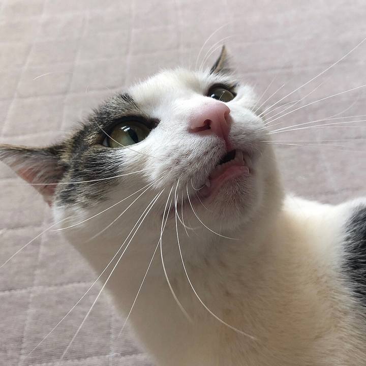 D886eb8b b8b8 4ee3 af15 26f44a295507 1647872293847