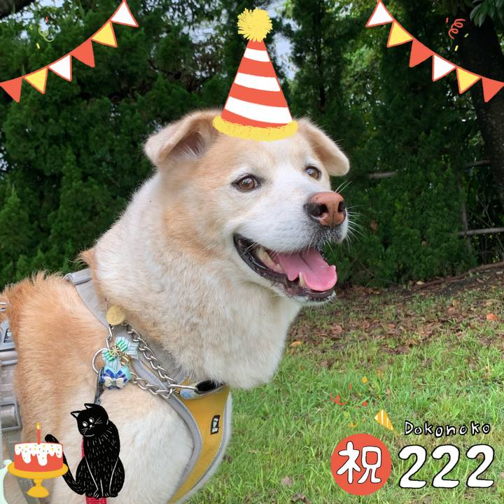 D886ee52 8402 4a86 b6a8 2bb28c889477 1645492459131