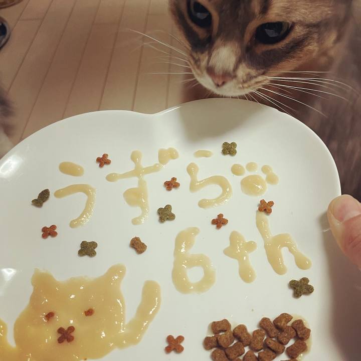 D8870259 bd1c 4df3 8e9d 56e802abc99f 1684587968337