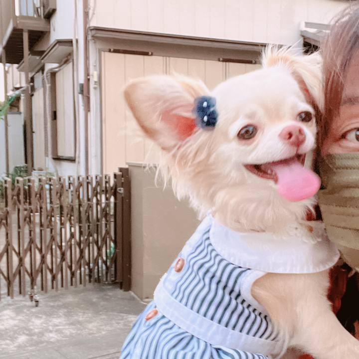 D8873021 8a98 48ec a60e 6969f3e518fb 1656508494584