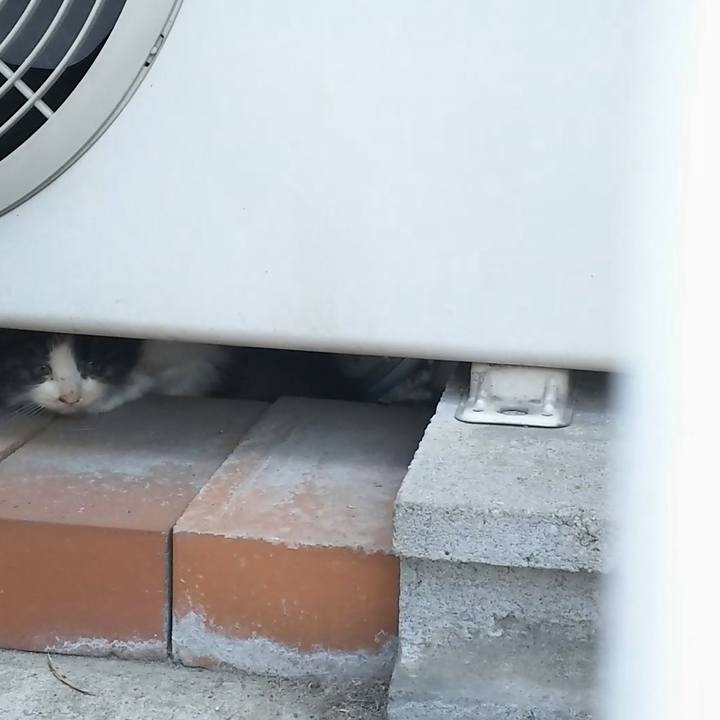 D8878206 a066 4cc7 8de5 d45c13ba555b 1557821625308