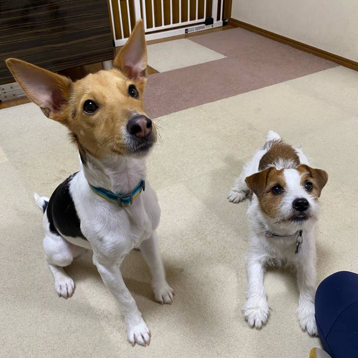 D887c900 e78f 436c 8c16 d06d54a1da48 1772884298308