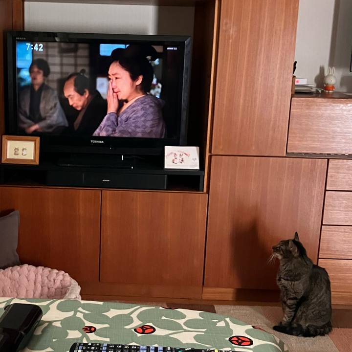 D88842ca d9ad 4ced ae64 e381cb2f7c59 1768087640077