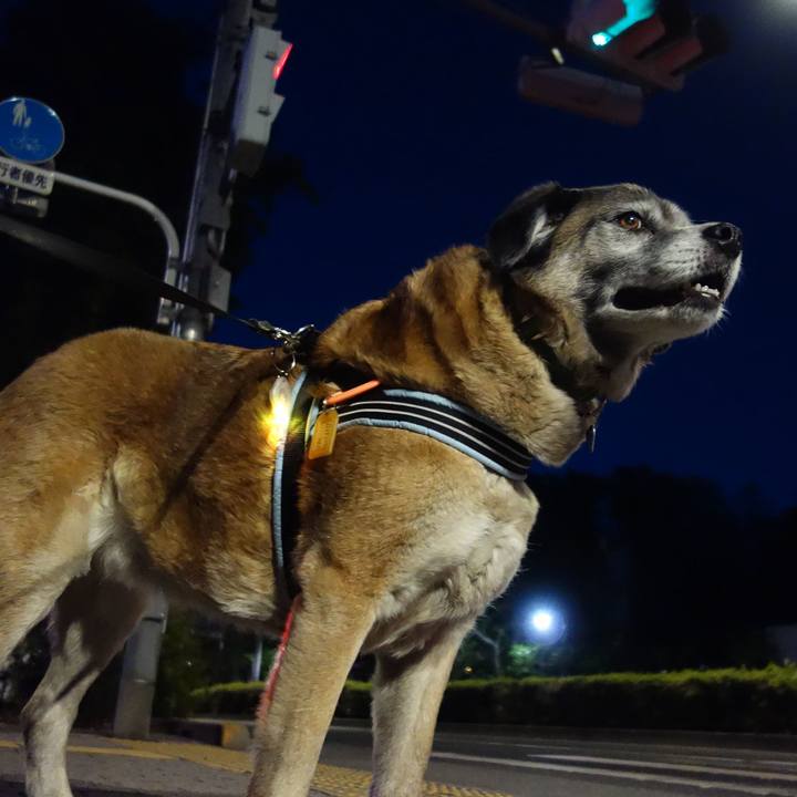 D88855a0 495f 4589 b309 70dad015b2fe 1666398688115