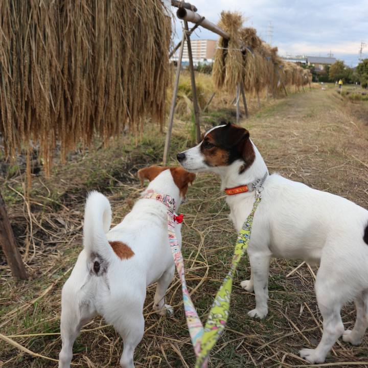 D8888108 c3cb 44cb 828d 645f3cf13890 1542180755391