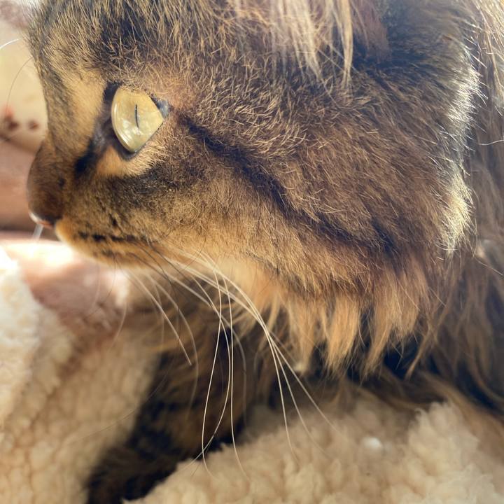 D888883b 0c76 4cb4 b55a 312a048bf2da 1705117649167