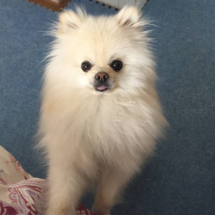 D888994a ebd2 494a 84c4 615fbf9a69b4 1520593768747