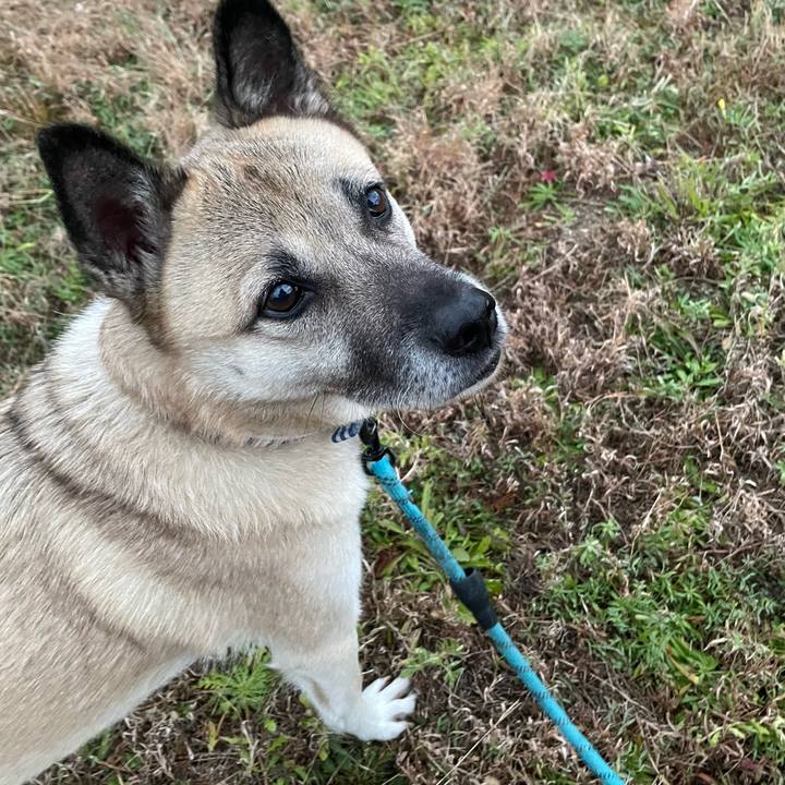 D8889f14 72f3 4a87 a4e6 cd4cc1b7c168 1701951130219