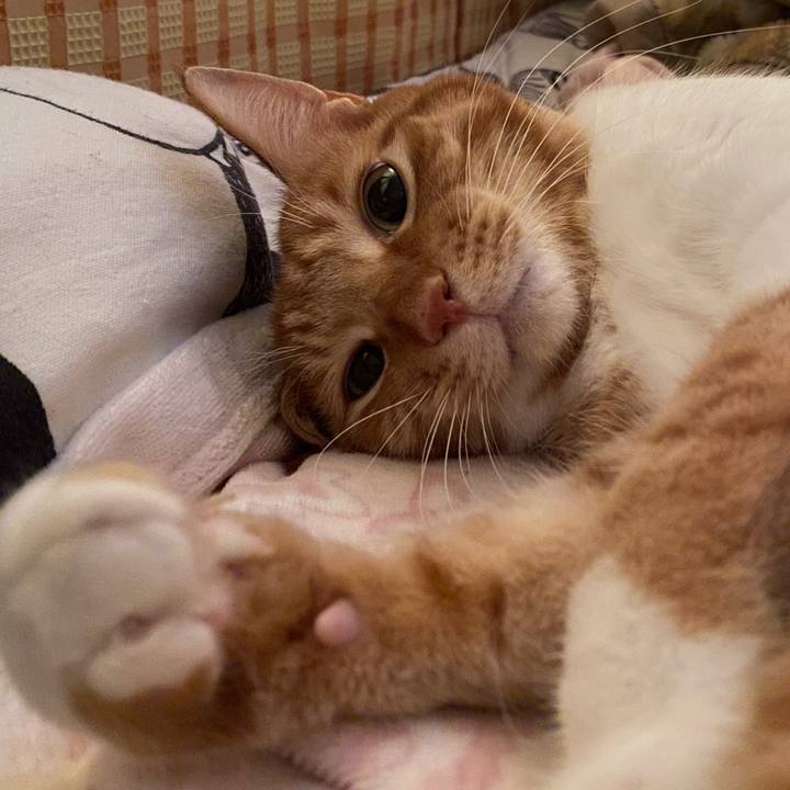 D888ade0 673d 449e 8560 a77a04e73709 1581662314569