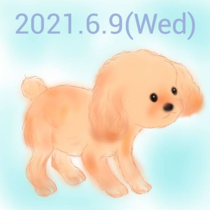 D888c0c5 b888 42cc bb77 78a0a0f2d367 1623241680382