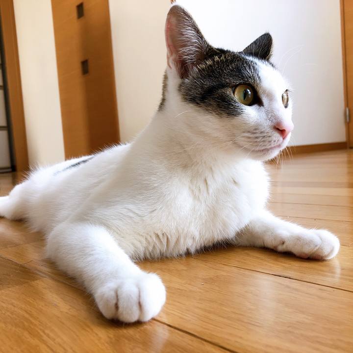 D888e930 081a 4353 a015 ed80cbb5b142 1596351309978