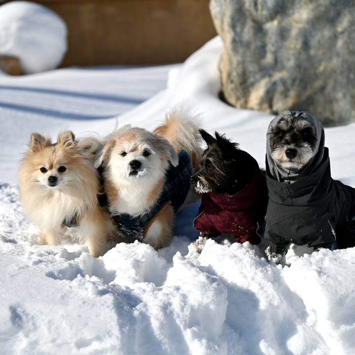 D8890680 2a82 409e 9917 6a70aeb9e738 1770523169393