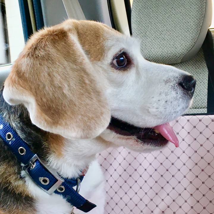 D8890b11 7073 4811 8eda 30fdcb7deef0 1553904696397