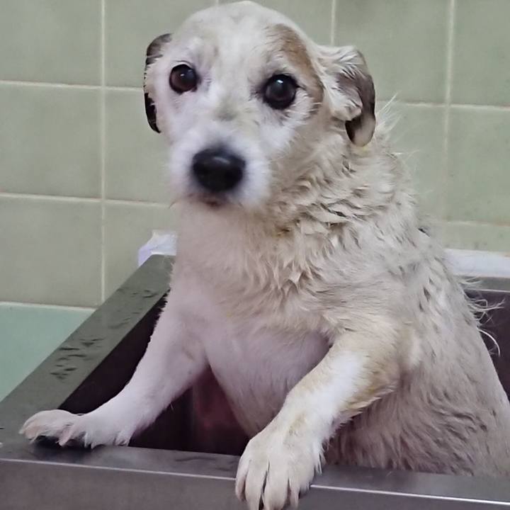 D8891dd8 11da 4f3b 9f90 83646318f530 1542237145419