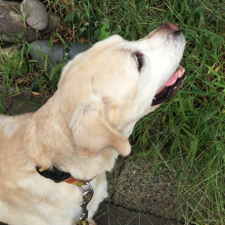 D889200b ba27 448e b272 b0410e557dd6 1569288318258