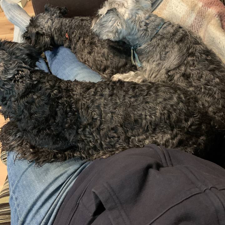 D889218d 2a66 4428 a2ed fde5423cf17f 1587353045964