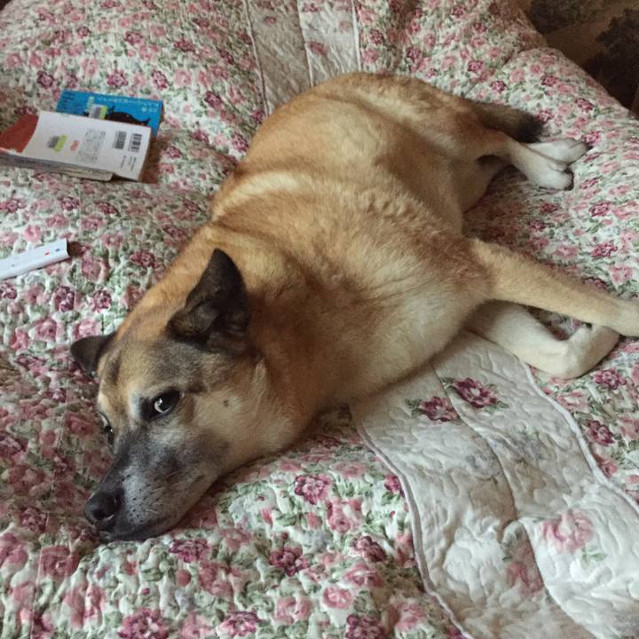 D8895f00 5737 458c bf72 8efb6d2acdf0 1544698133396