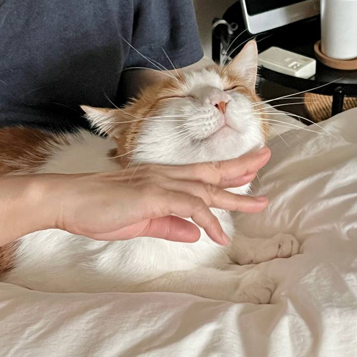 D8897b96 3473 41bd 9cd5 fb71463fc918 1760402712858