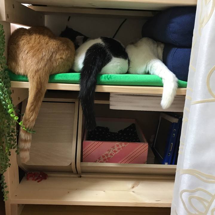 D889b914 0b82 4952 8349 ad9625b7c104 1508159940031