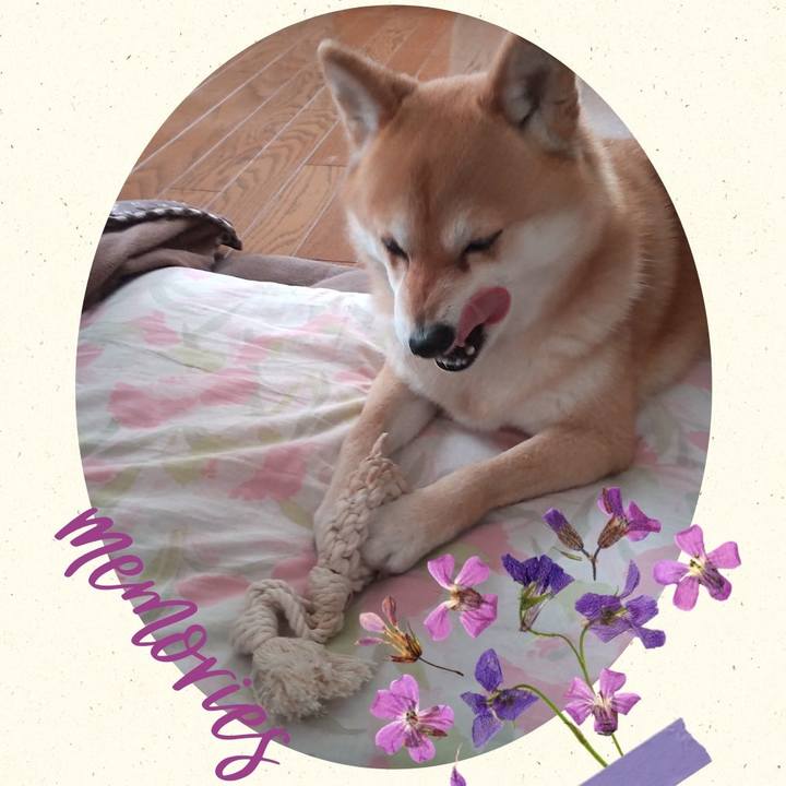 D88a02f2 29aa 45b8 8983 13e4c57e7f77 1746963844720