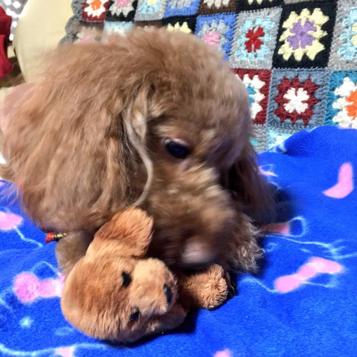 D88a15f2 6eb5 4f73 81b0 d1e45d434537 1519436780127