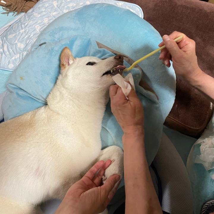 D88a24e1 e9ca 4f4b 9b0c 25e3742fe712 1656686172134