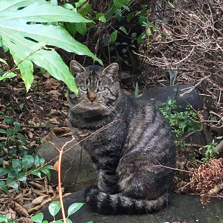 D88a29fb bafa 4dae bba7 53444ba3cce0 1614662802955