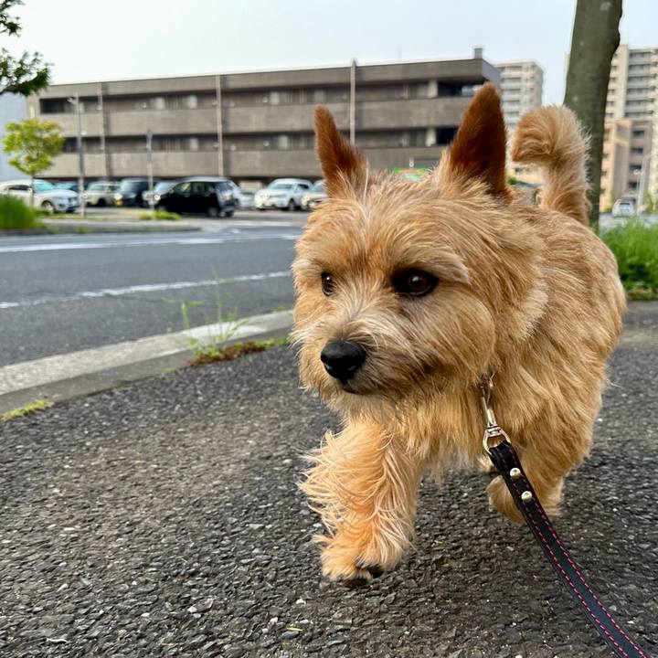 D88a53cd 5cda 45fa bd37 374fd324ff37 1746427415073