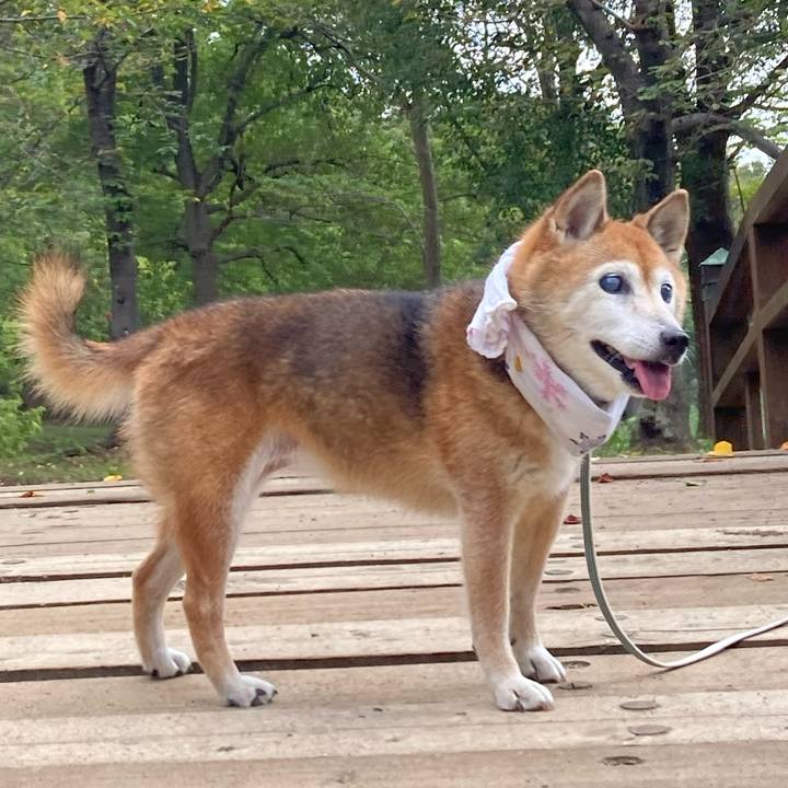 D88a6a18 46f5 44cd be92 aaa7c7de22e9 1757998815334