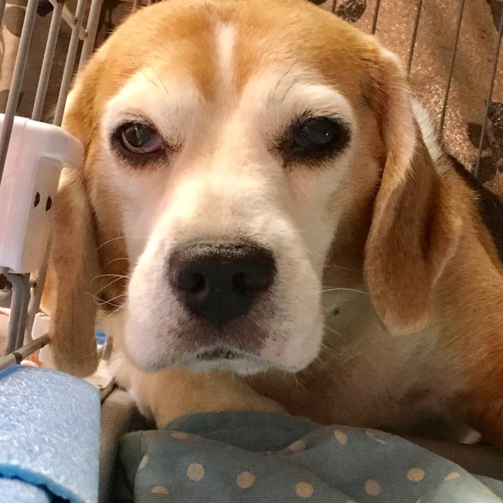 D88a9dc1 1bfe 4022 a5ae 28f462d5a89f 1535243467658