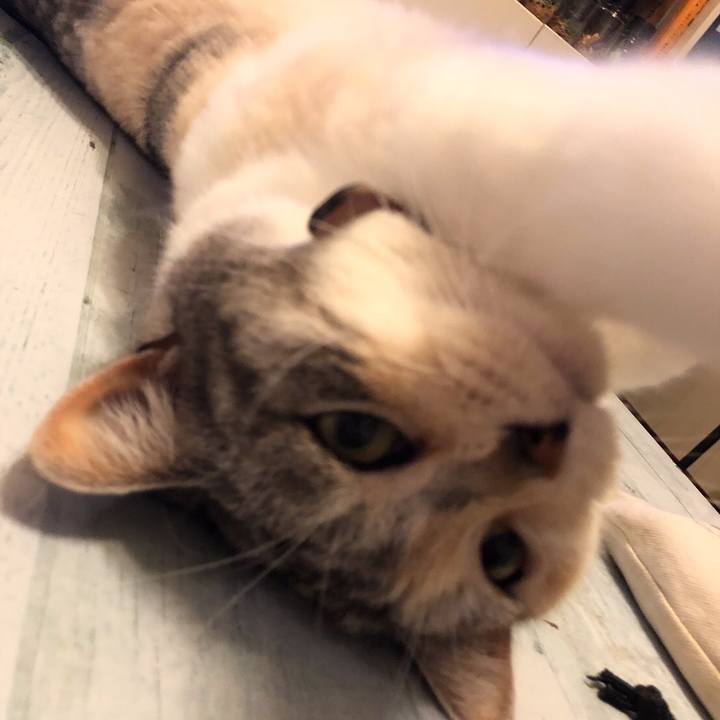 D88aa4a6 6b1f 43dd bad5 0afdd6334fda 1557836982790