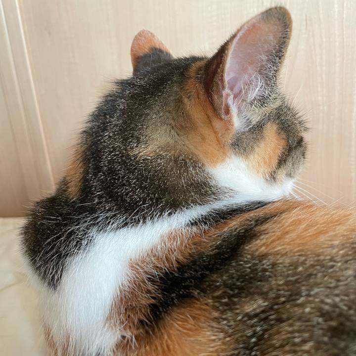 D88af6f6 965d 4f4a b867 133a7894ba3a 1656050199149