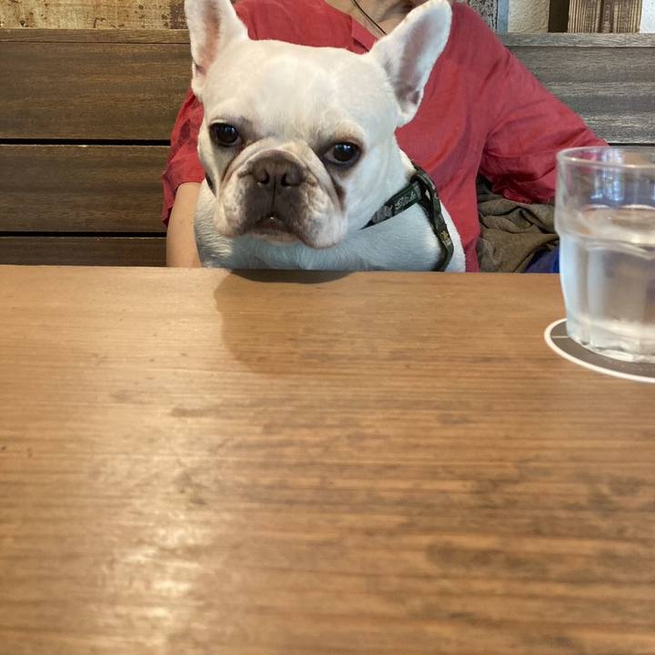 D88b0949 1137 4de1 bc39 b259dc745de3 1682823247630