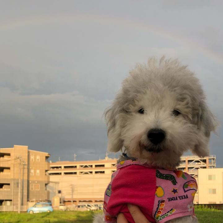 D88b461d f3f3 40af 86af 3c2f0d14e57b 1626000834476