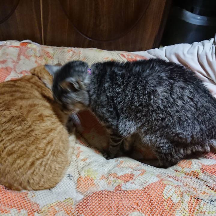 D88bbcc3 134d 4bd0 ba97 87e29b5bae76 1578139822020