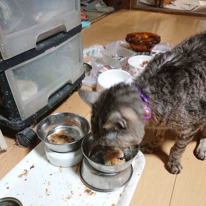 D88be27b a85e 4a32 9bbe cd469acf2eef 1597609549319