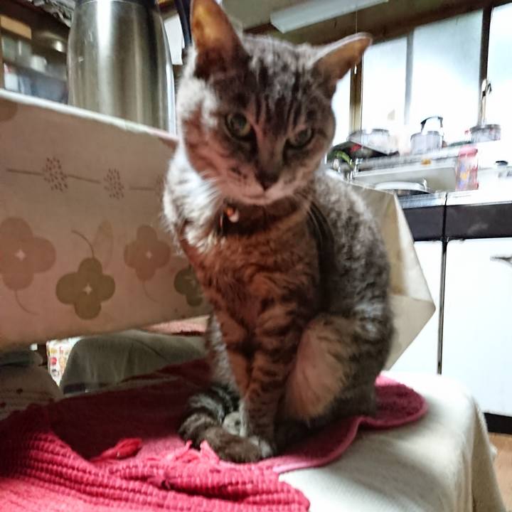 D88bfcdf 7de0 46b8 be36 c3743206a230 1566332022814