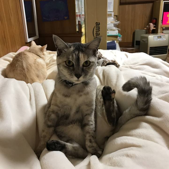 D88c0c2a fd87 4285 8070 1cda953f8cf4 1544886507142