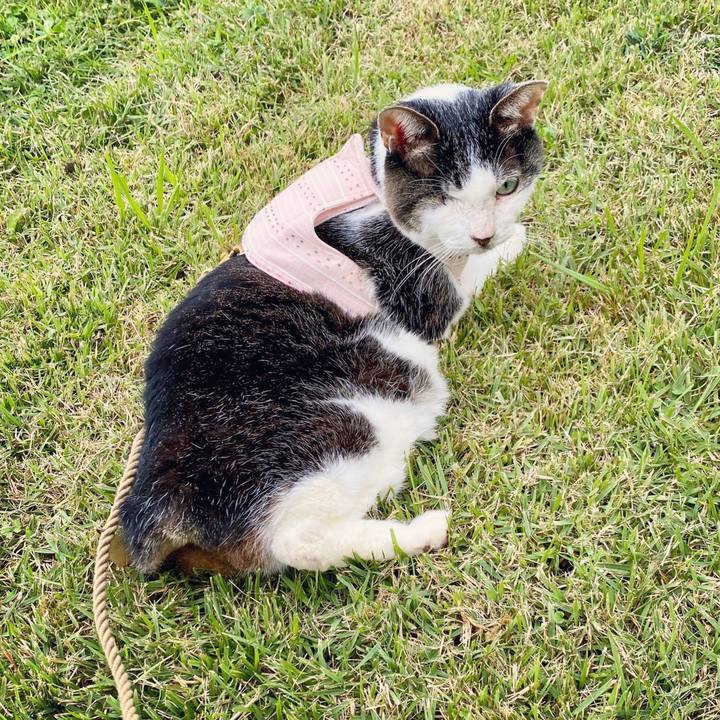 D88c1d66 fbc6 4dec bd72 0b671327df4a 1603893579942