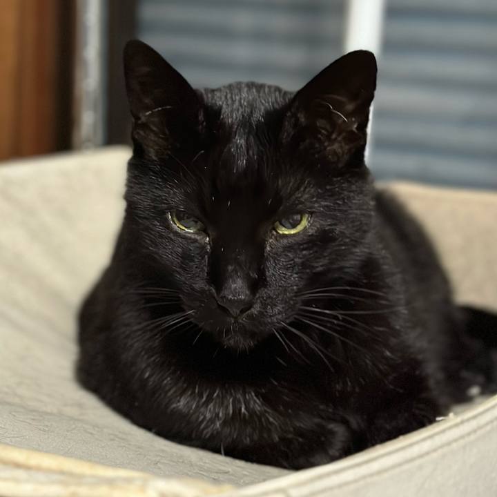 D88c38bc fe7c 43c8 9e31 36c84412f67a 1681182743246