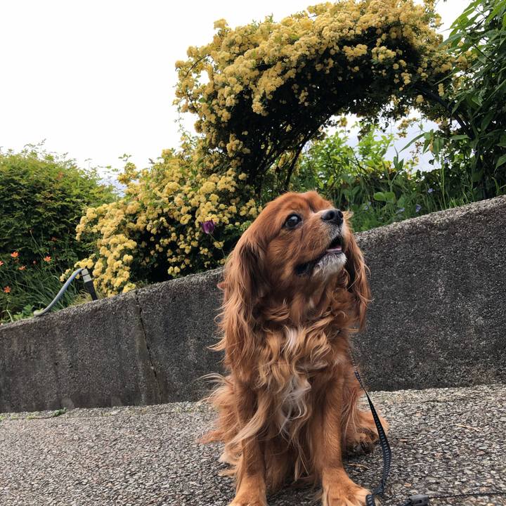 D88c6345 72a5 4427 a0e4 010b5f814f6d 1619225490967