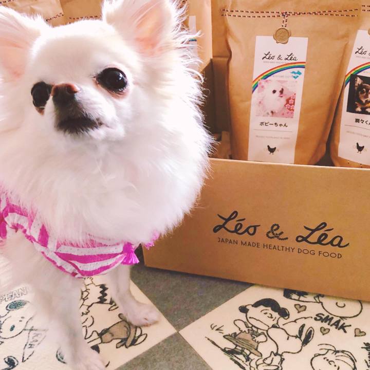 D88c8e0b 98fe 4866 a73b eecb99567546 1570335985233