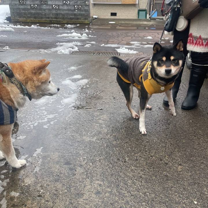 D88cb03c fc1d 41e5 8502 4cd4c2ac43f7 1707208245003