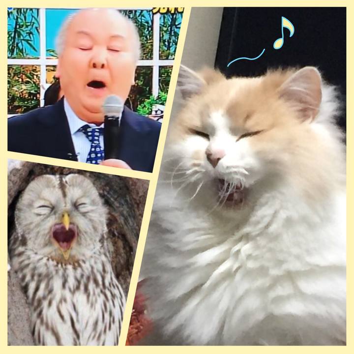 D88cb625 8a84 4891 90f6 72f3f1b69870 1525522074719